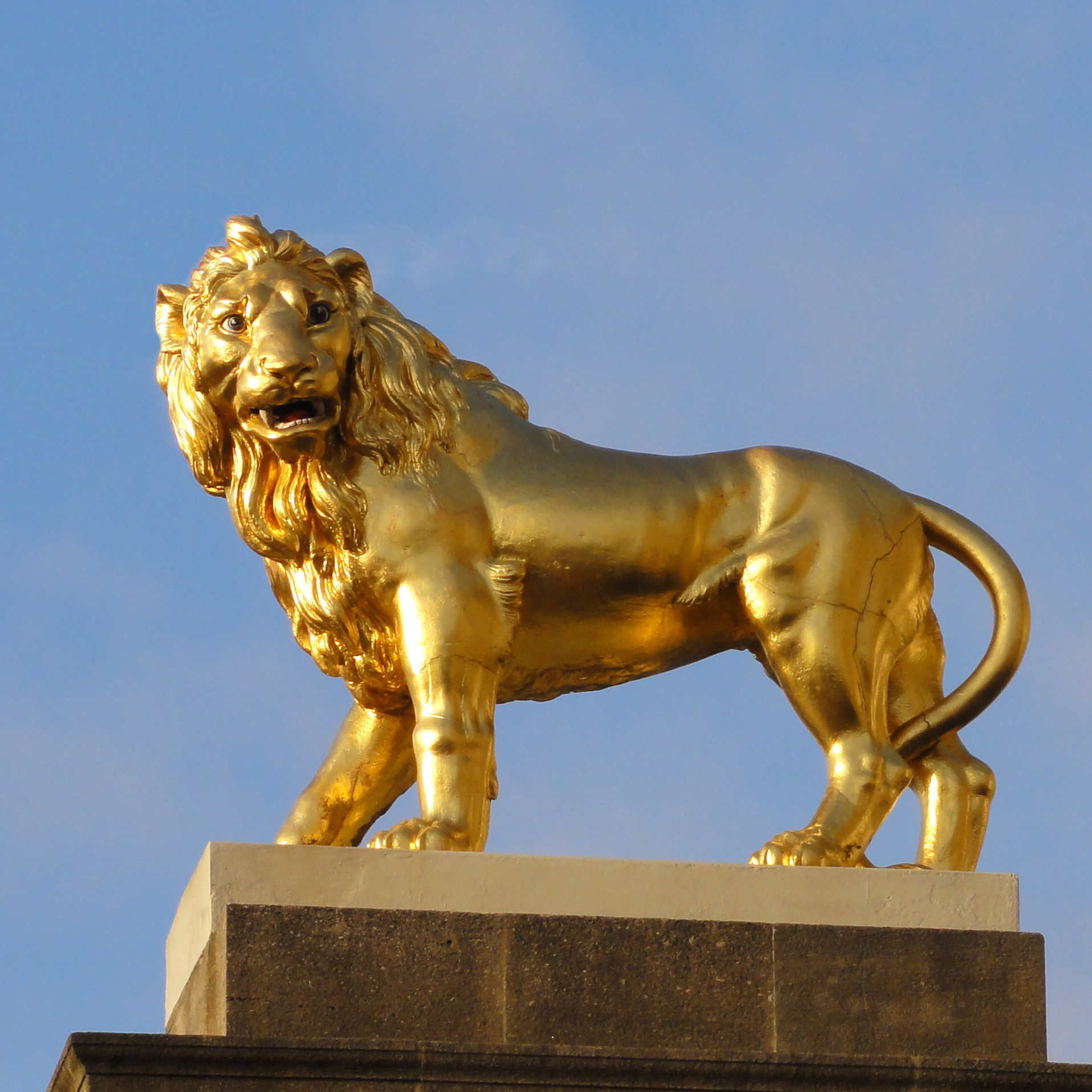 Hot sell gold color metal lion statues for sale